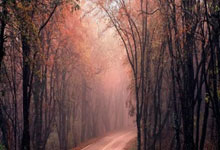 PG：[NBA]亚历山大48+6 雷霆战胜活塞.