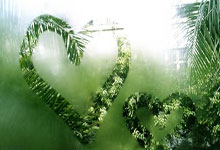 神锋有望火速驰援国足，中超首秀炸裂29分钟险戴帽，伊万喜出望外.