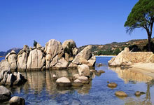 神锋有望火速驰援国足，中超首秀炸裂29分钟险戴帽，伊万喜出望外.